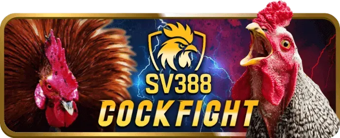 Bước 4: Đăng nhập và bắt đầu chơi ontop88